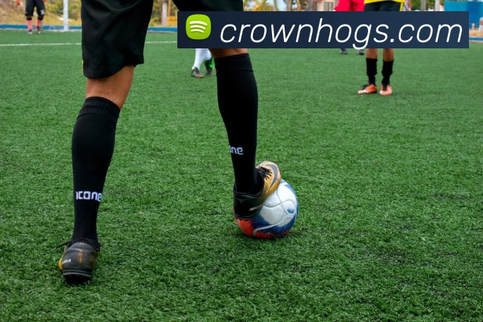 皇冠crown体育平台APP 封面图